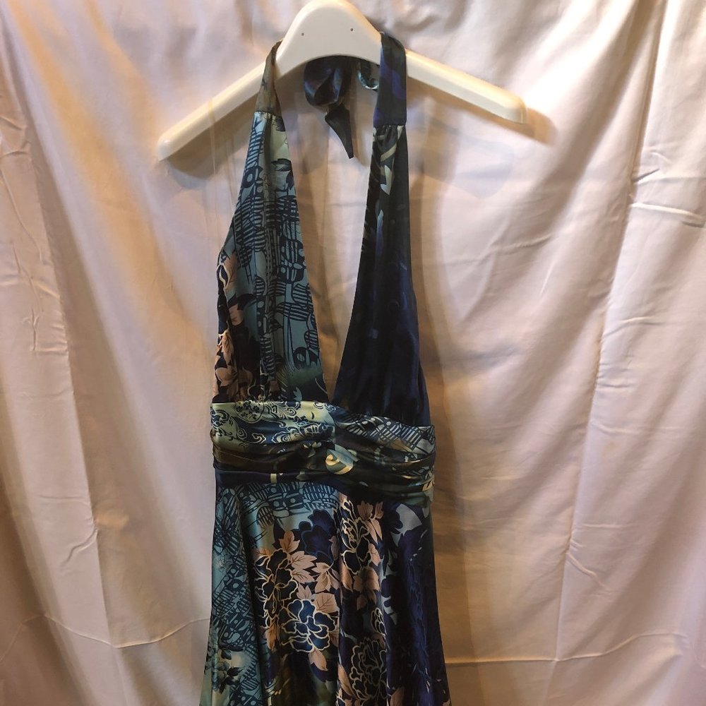 Cache Luxe Pary dress